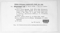 Chrysomyxa ledi image